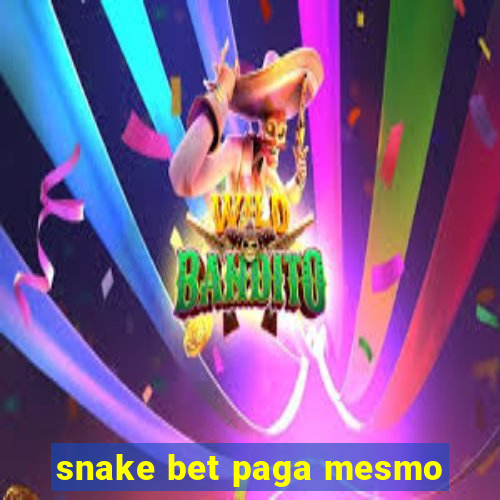 snake bet paga mesmo